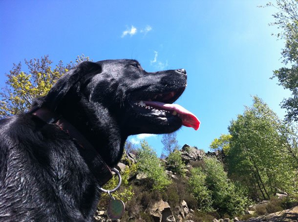 Jessie Woo on Glossop Mountain